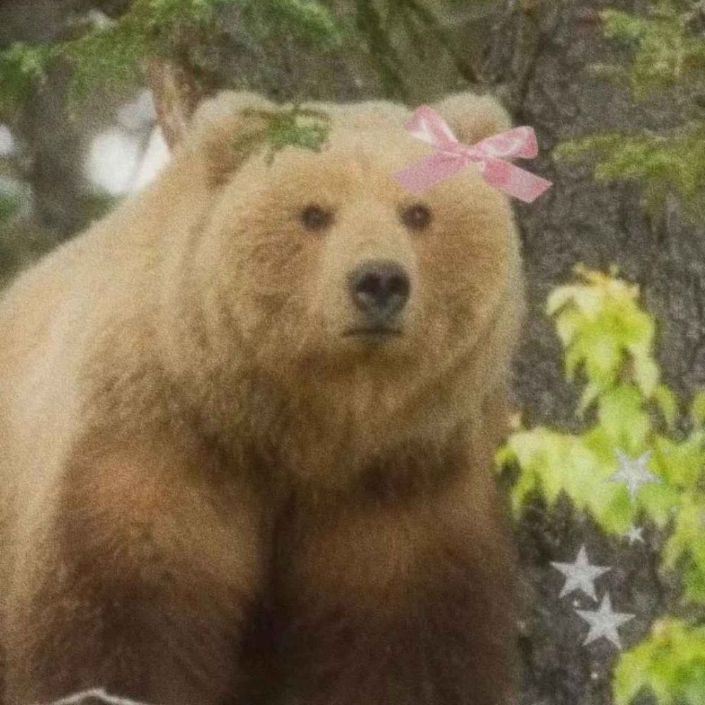 Bear Grace