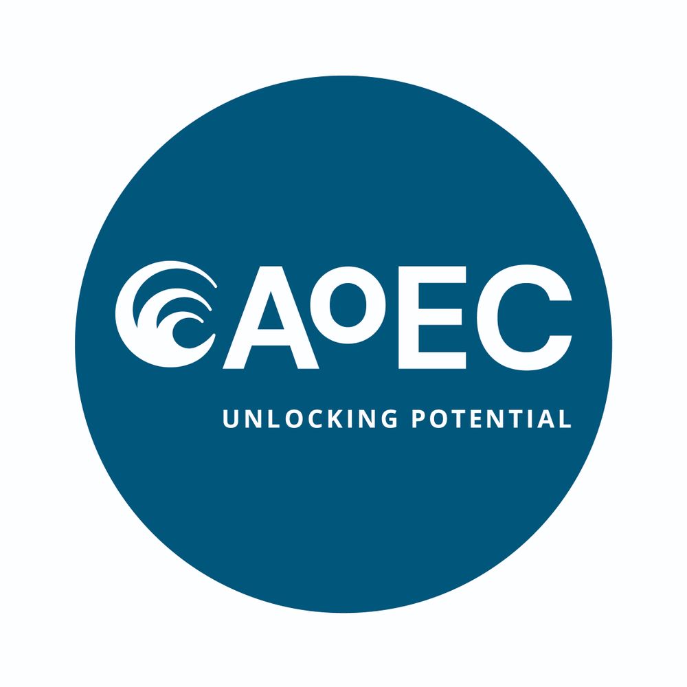 Academy of Executive Coaching (AoEC)