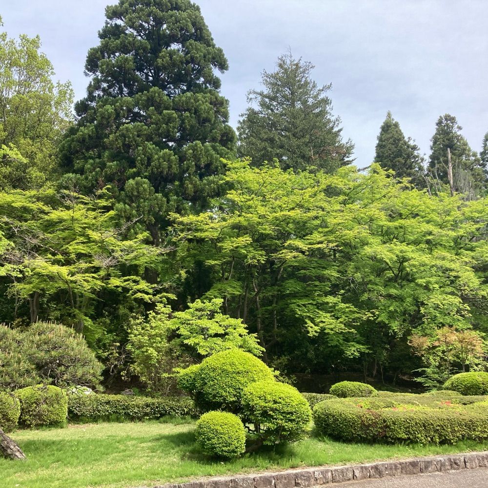立川ン