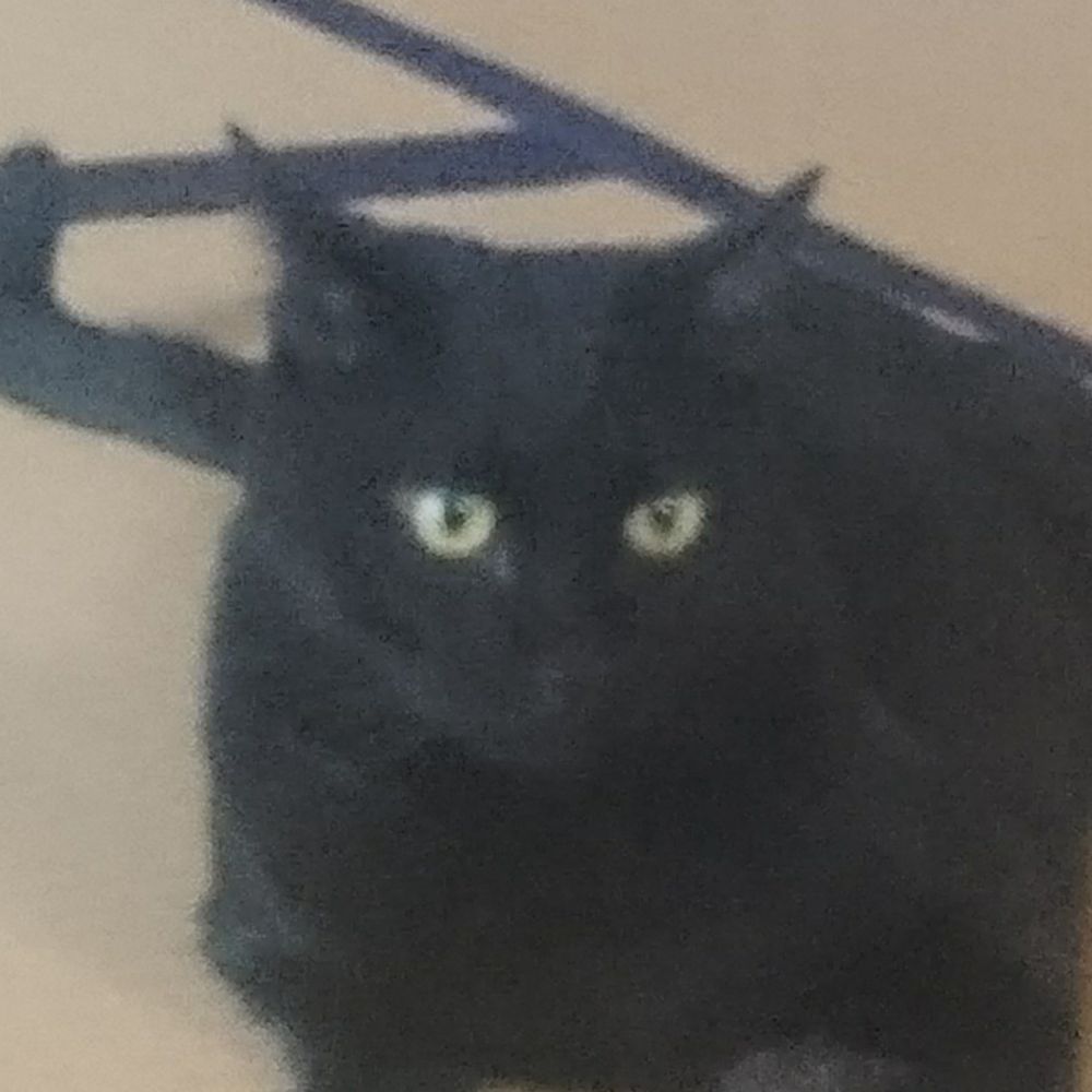 Hスクリュー