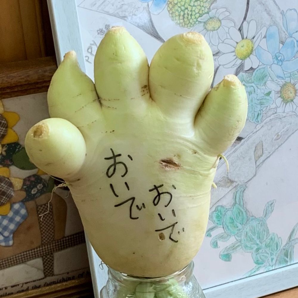 ヤムソン🥞🍭