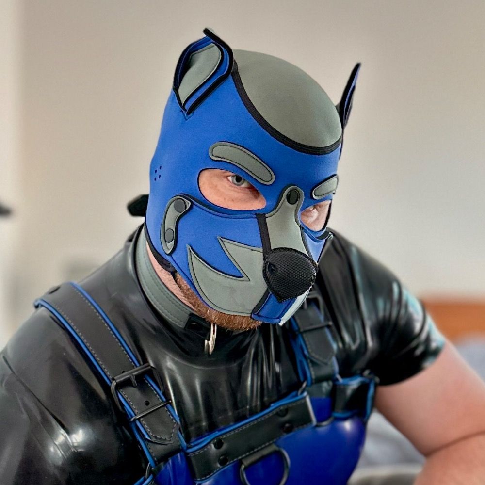 Pup Pebble 🔜 MAL/NYC