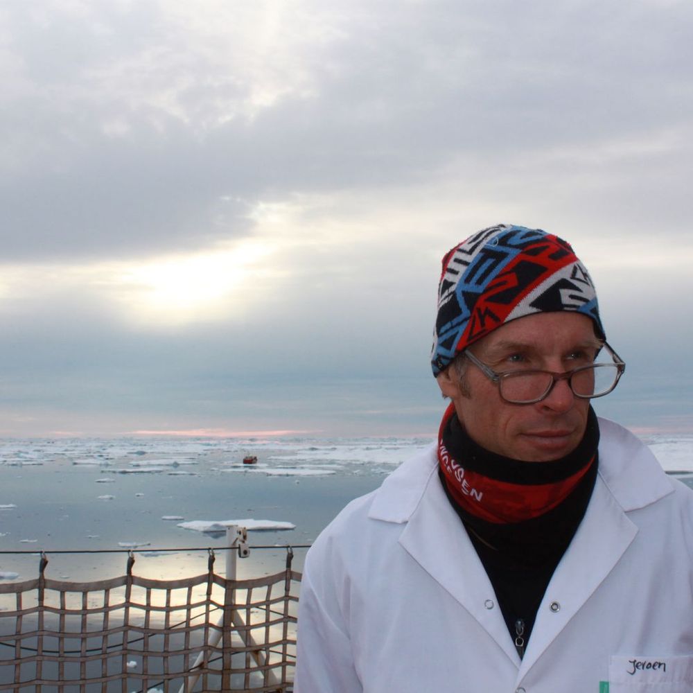 Jeroen E. Sonke PhD