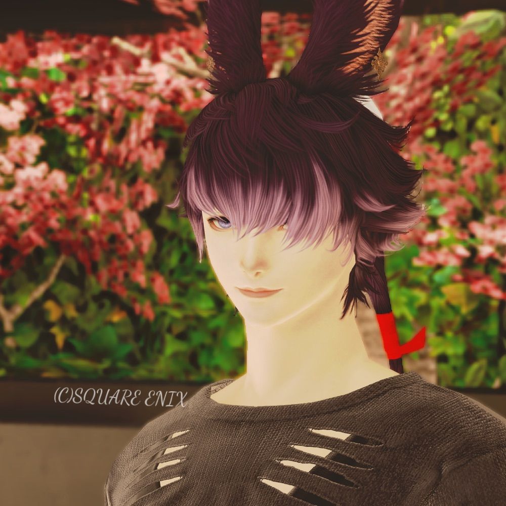 Rui