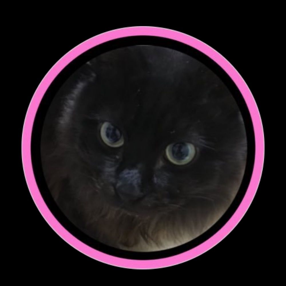 🌋クロロ✈️🐈‍⬛