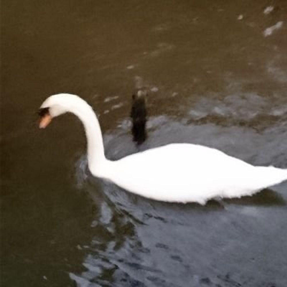 レモモン