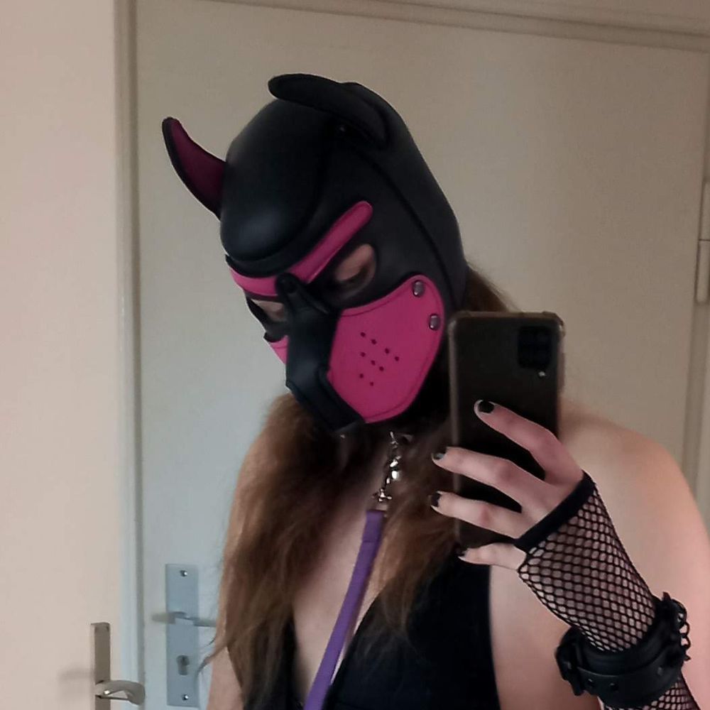 Lavender Honse 🏳️‍⚧️🔞
