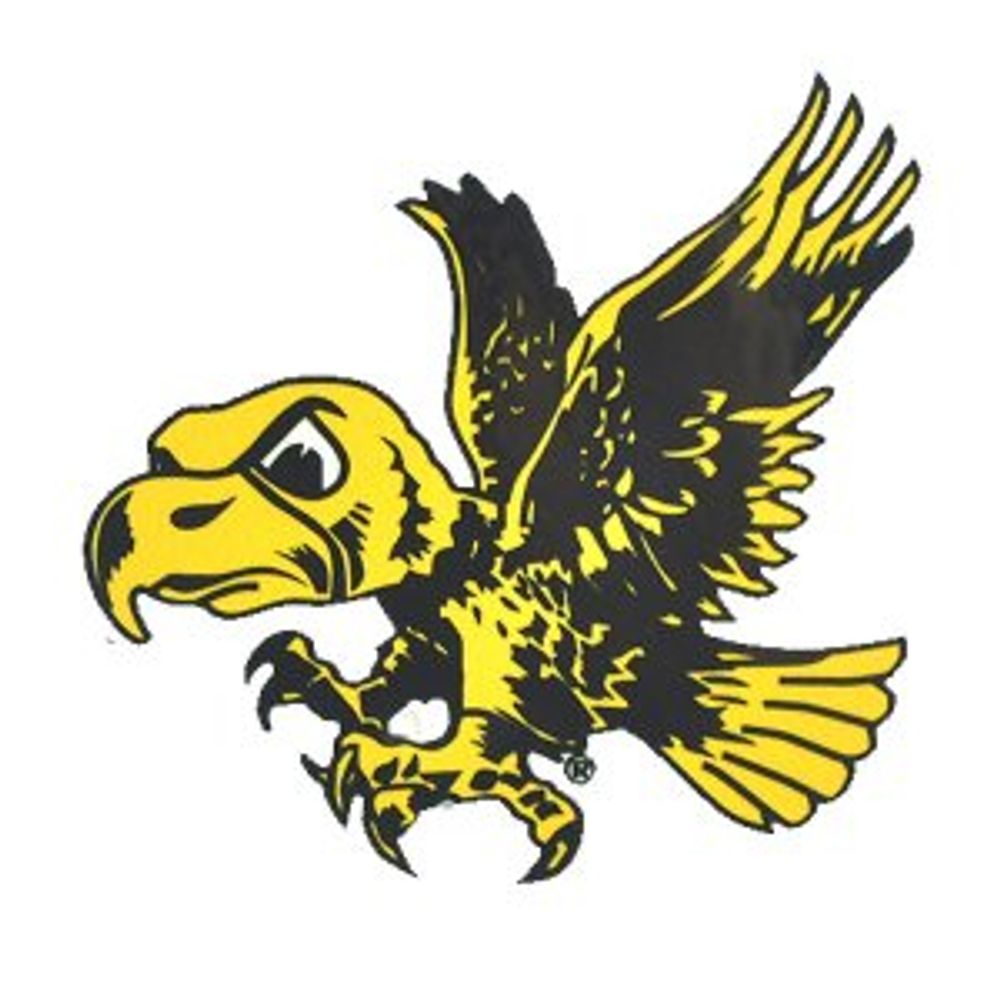 IAGoldHawk