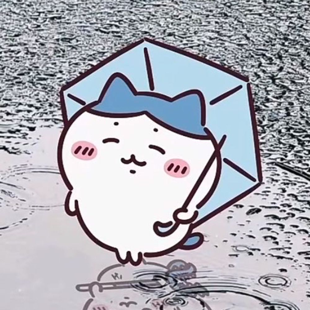 beachedxo.bsky.social