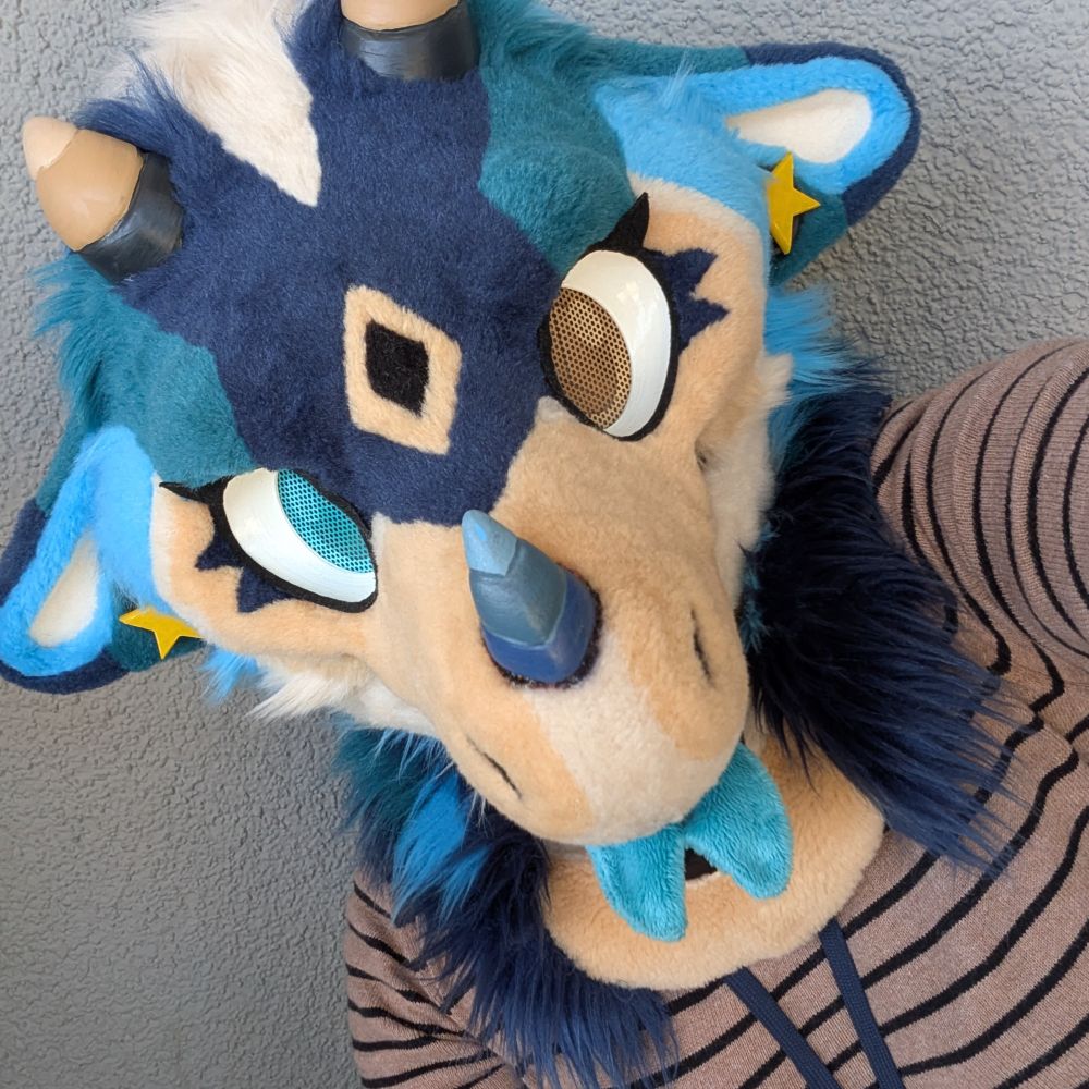 Lapisthedreg