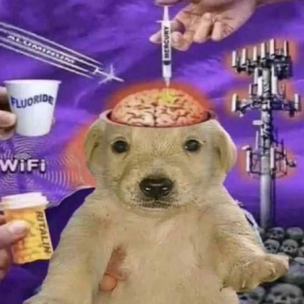 Oui’D