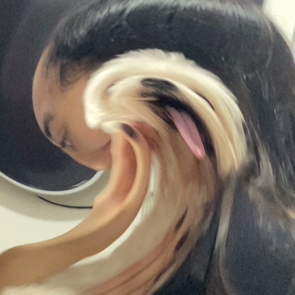mirim