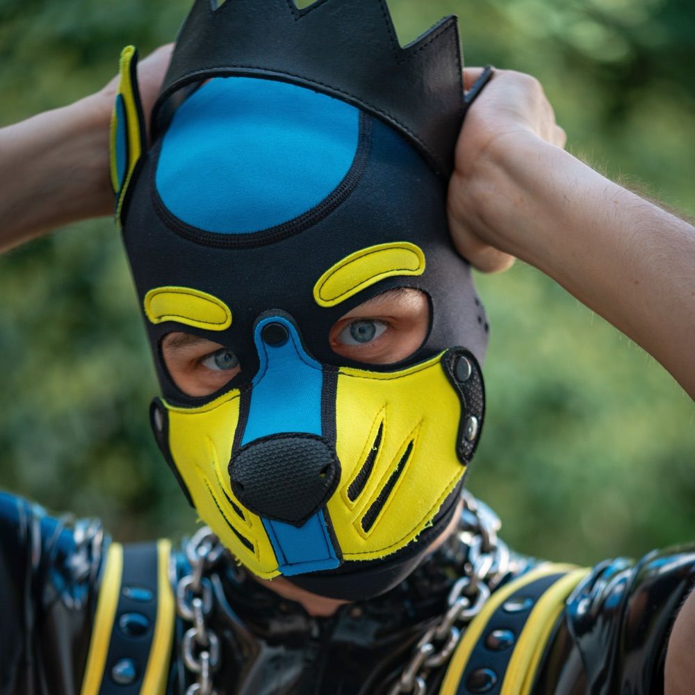Pup Volt ⚡️