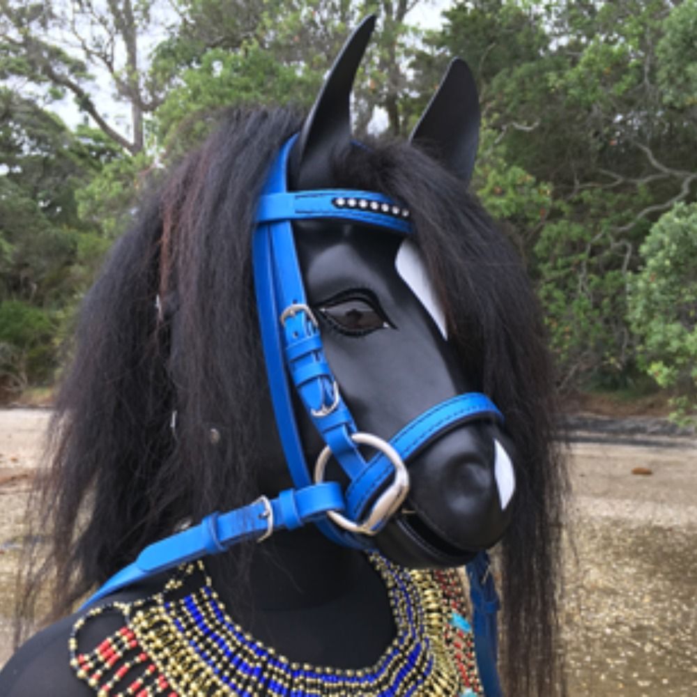MoonDusk the Pony