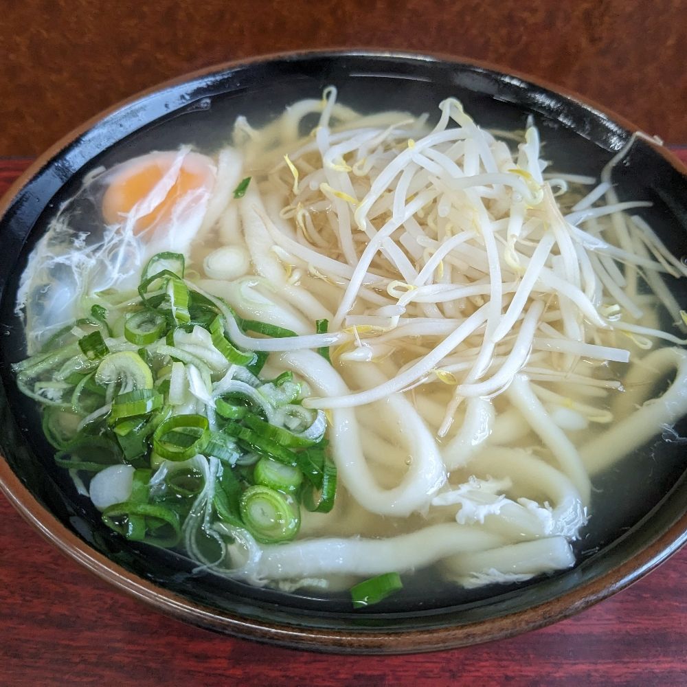 もやしうどん