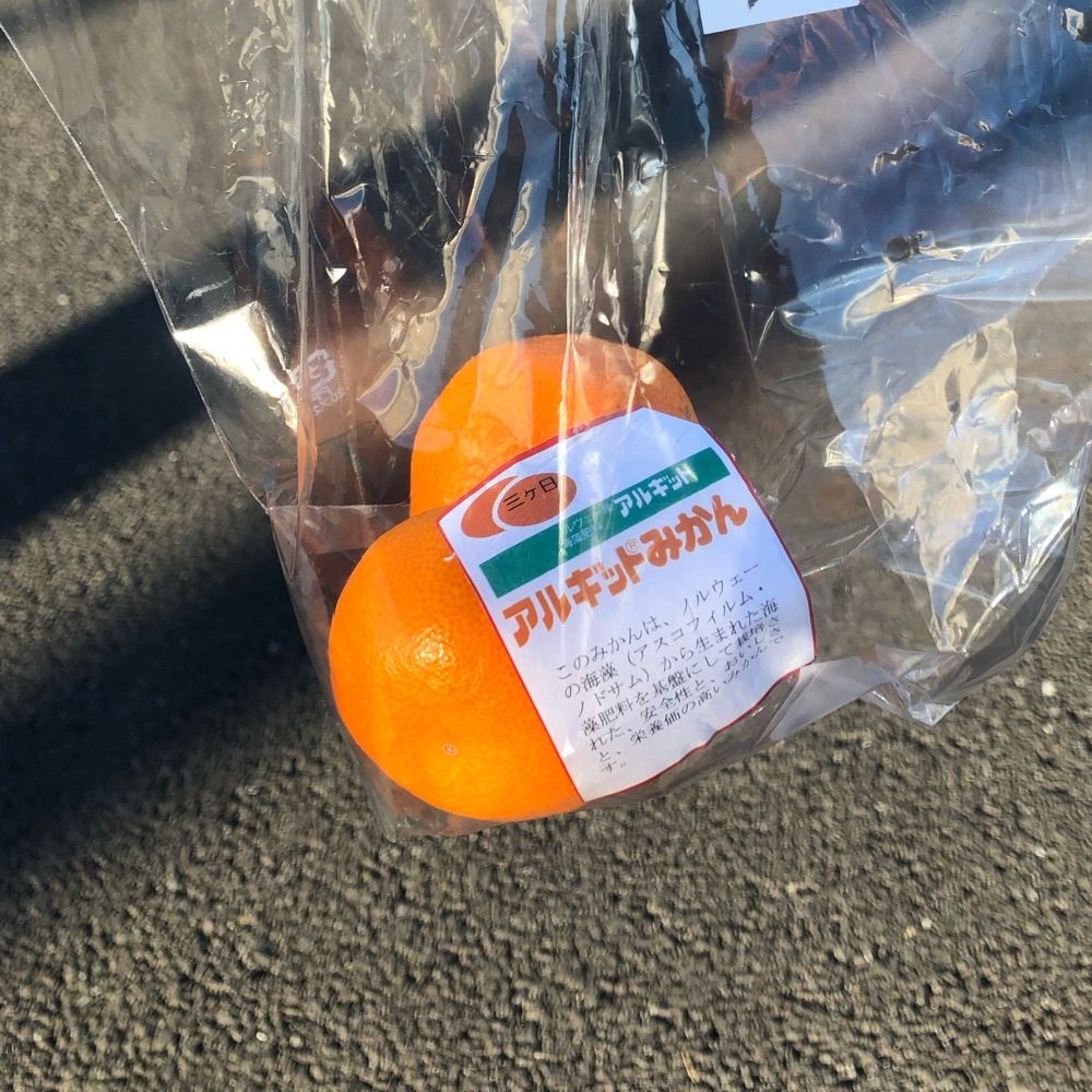 takeko