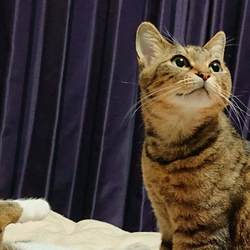 さむ