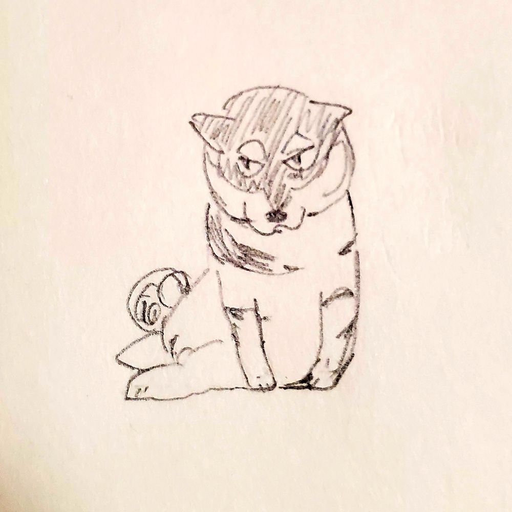 めこ@動物看護師