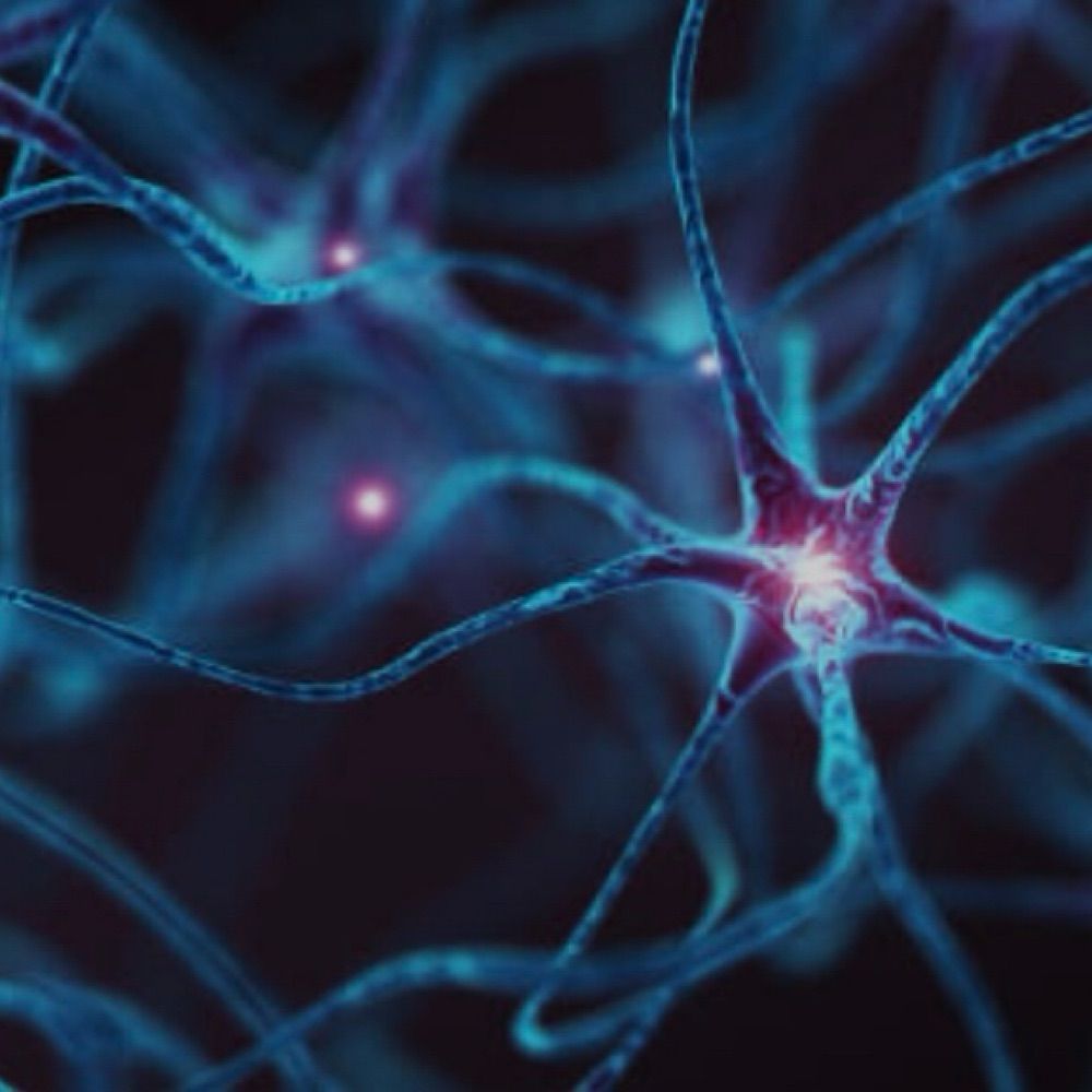 Karen A. Pescatore, PhD