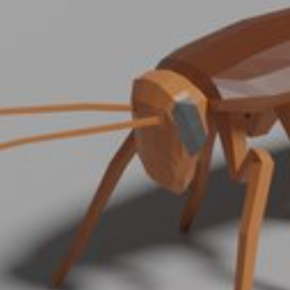 Roach
