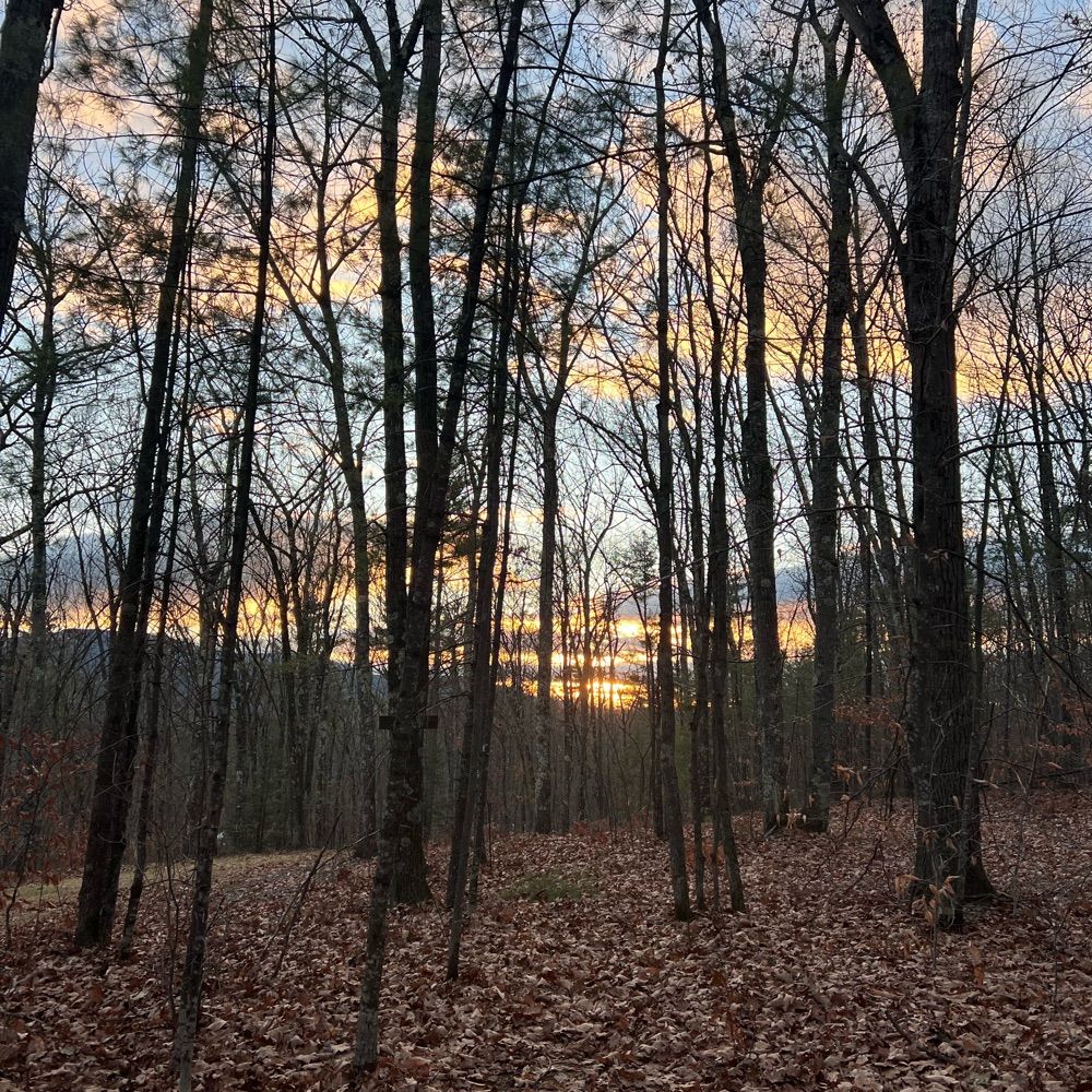 herbgirl603.bsky.social