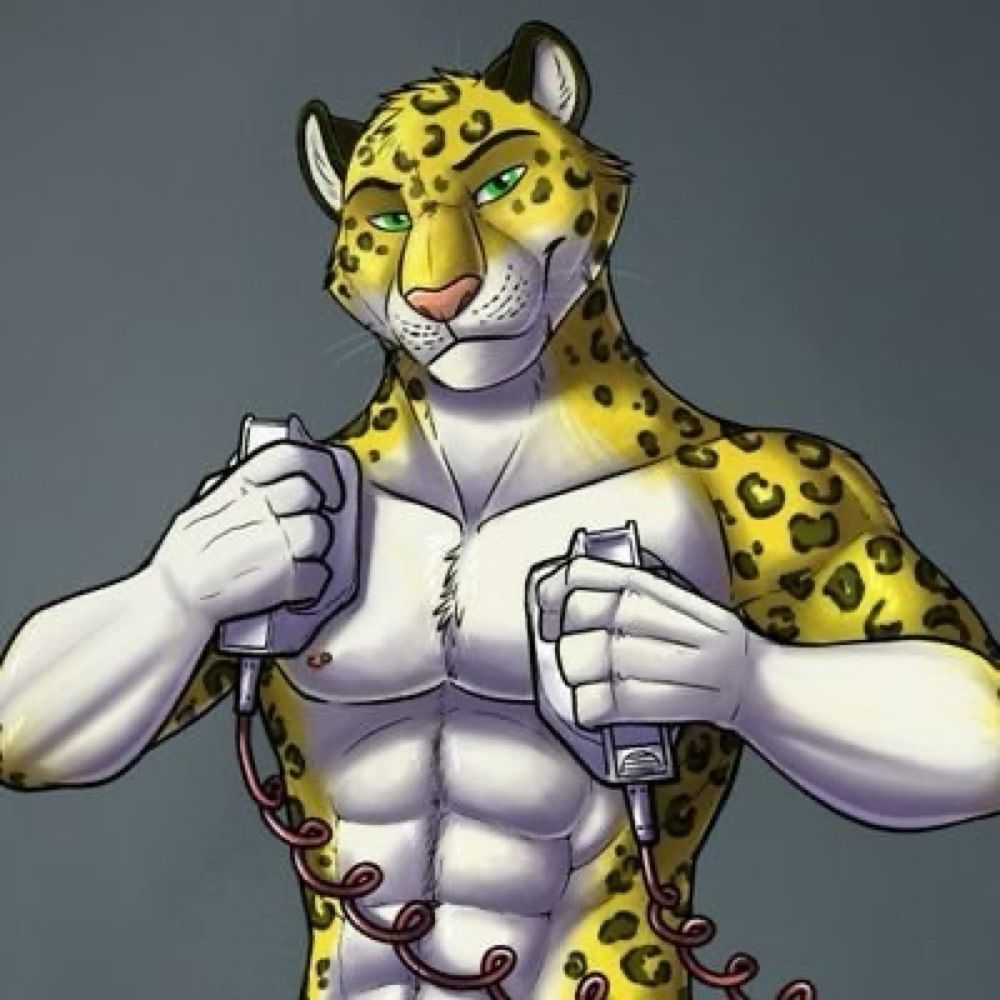 DefibCat