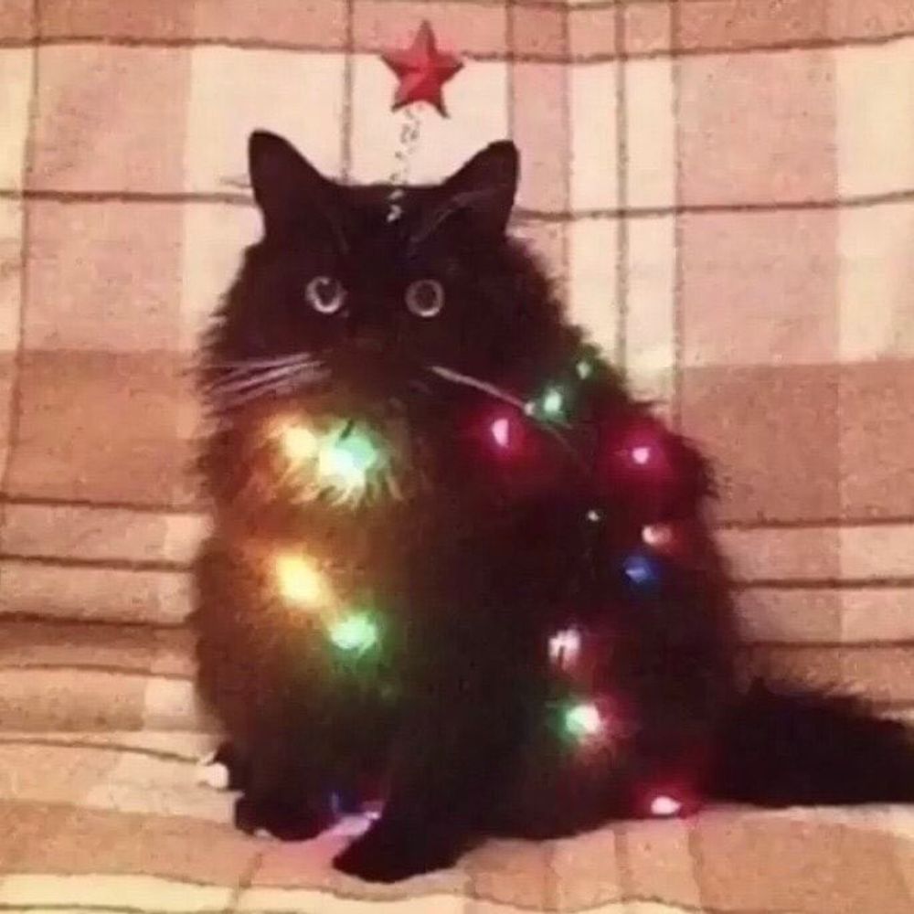 CometMeow