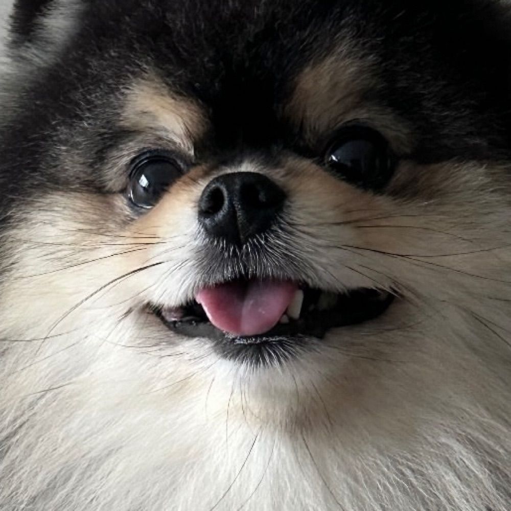 대부치