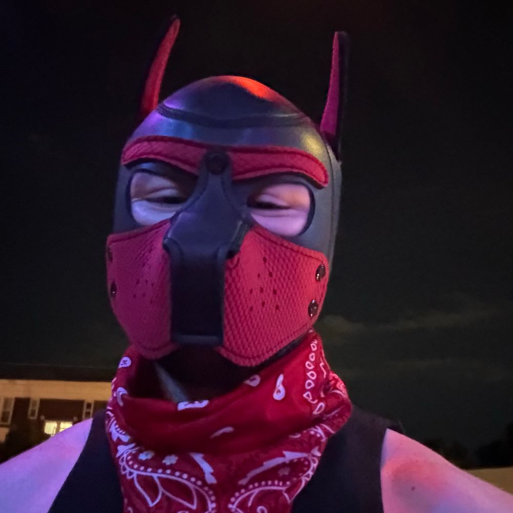 Eddy / Pup Maverick 🦴✨