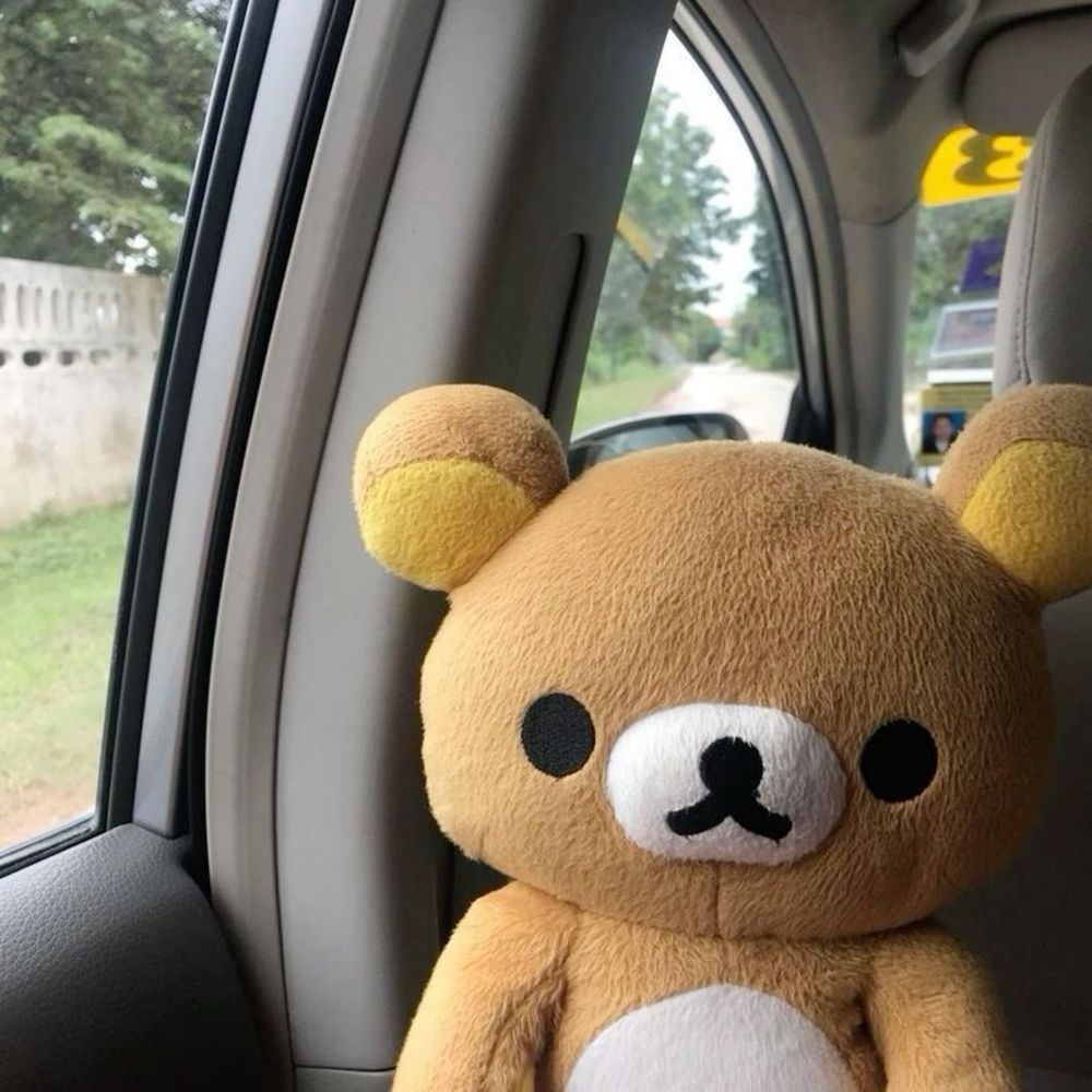 모과