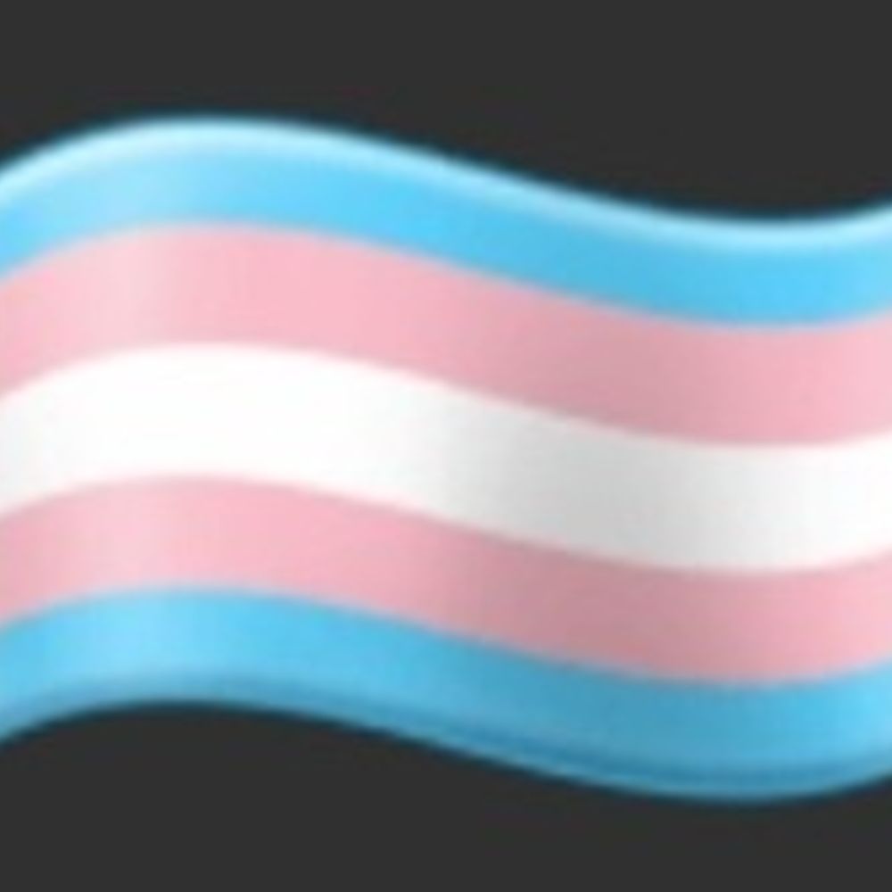 Trans Ally Essentials