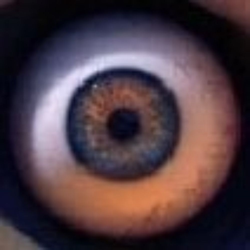 Soi