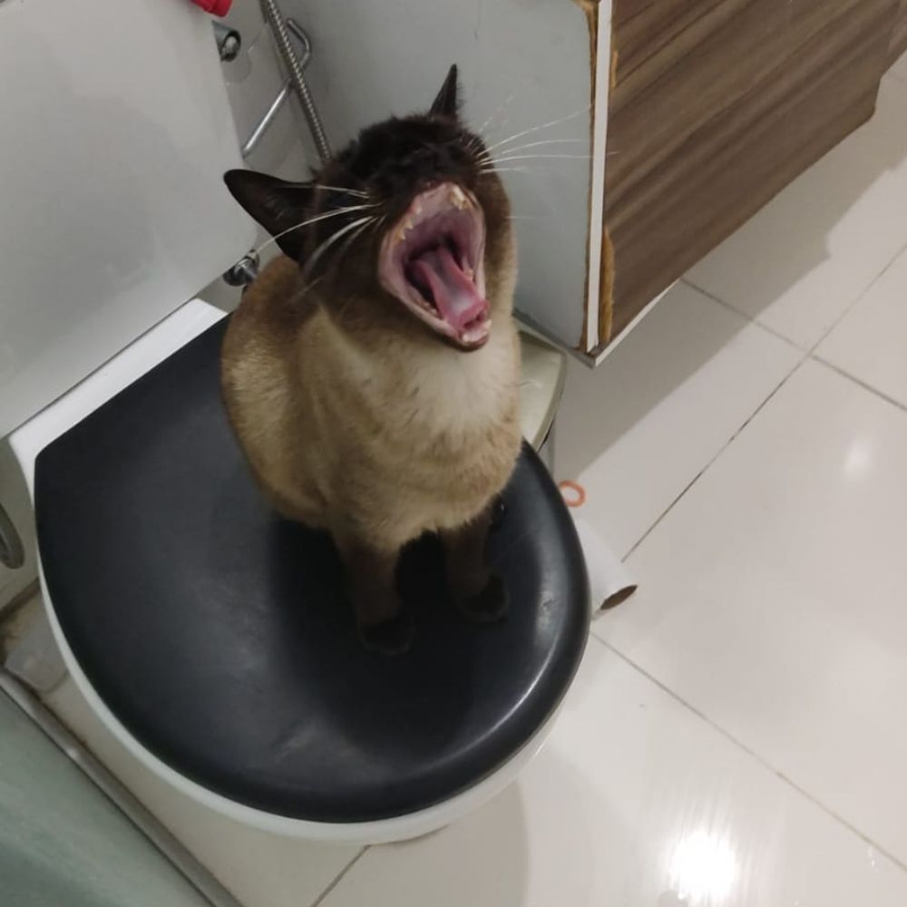 Marcos.
