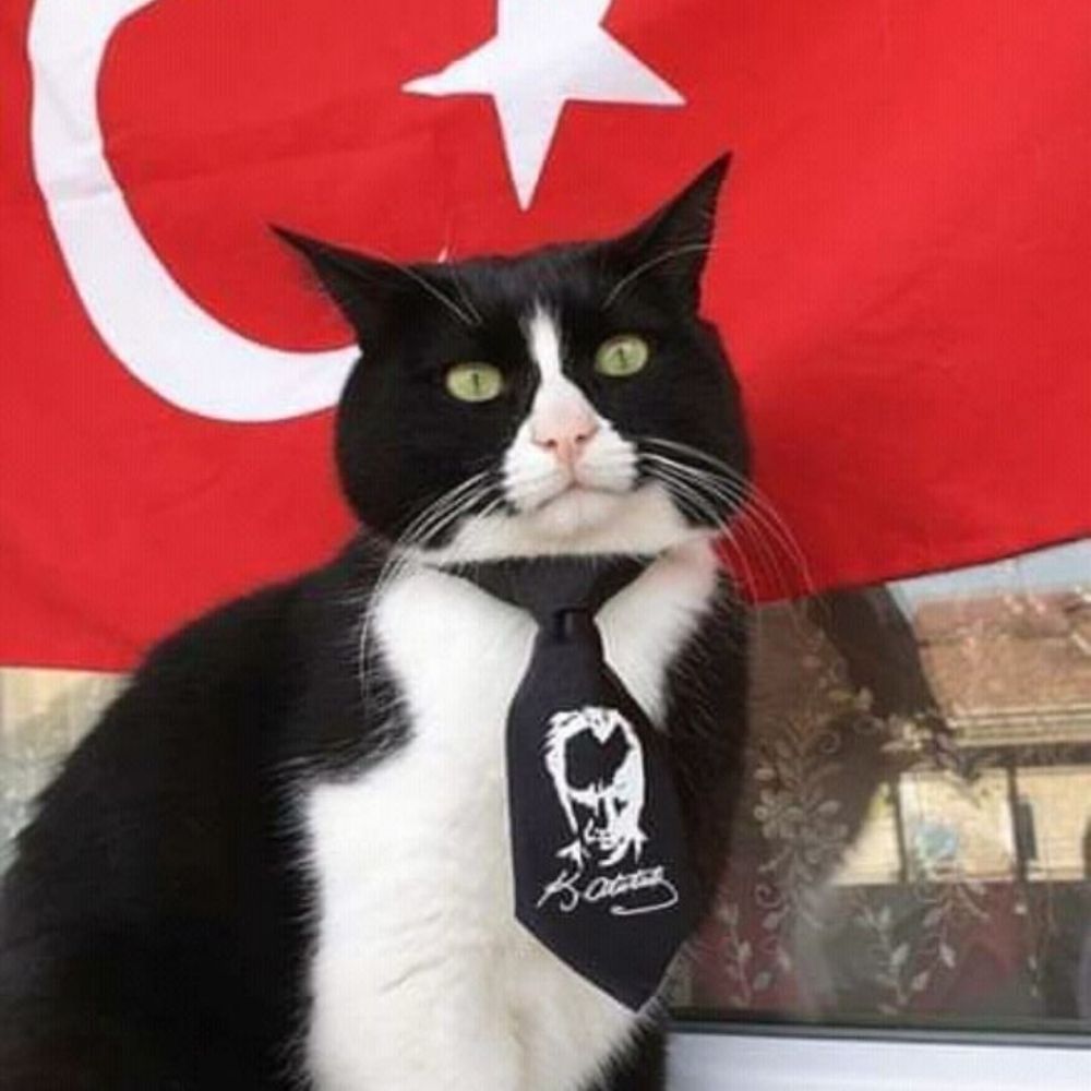 Öylesine