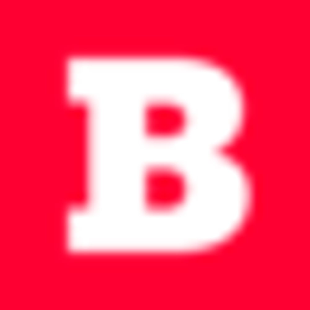 bruzz.be.web.brid.gy