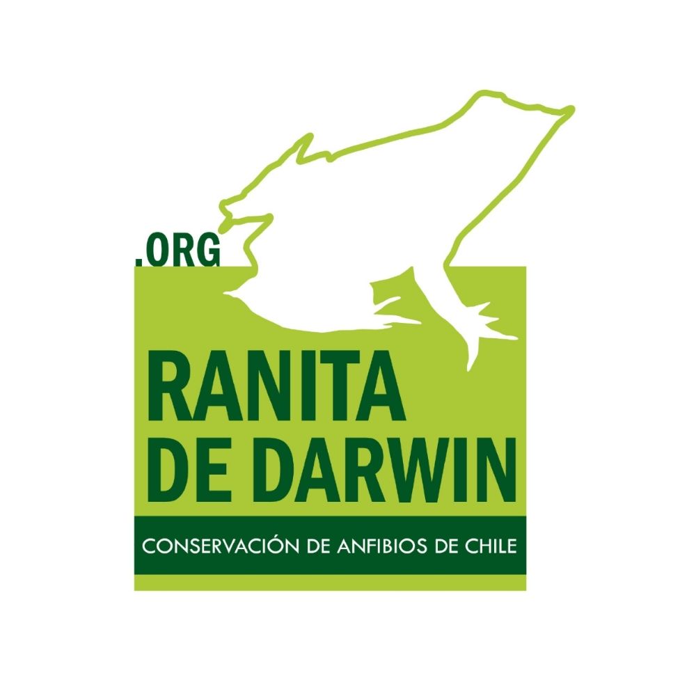 Ranita de Darwin ONG (Darwin's frog NGO 🐸)