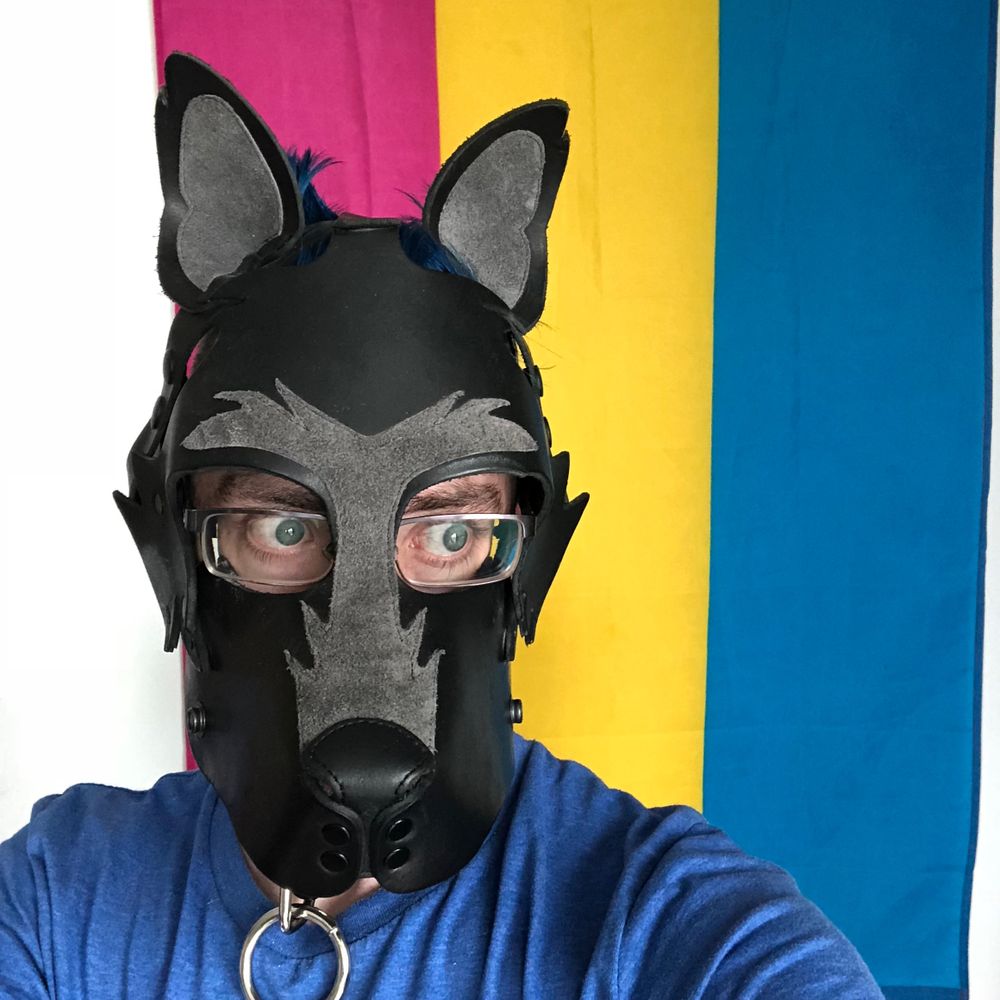 Pup Faolan
