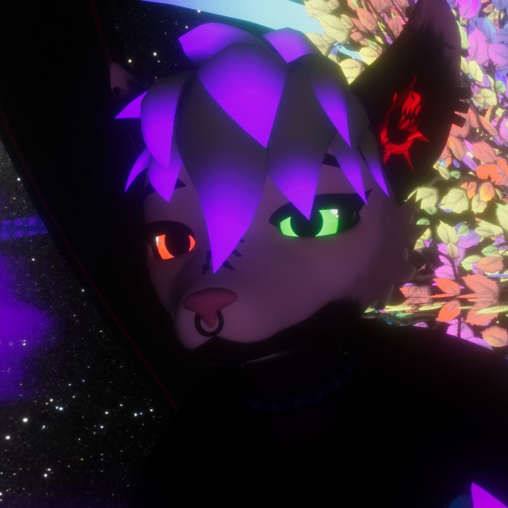Echo