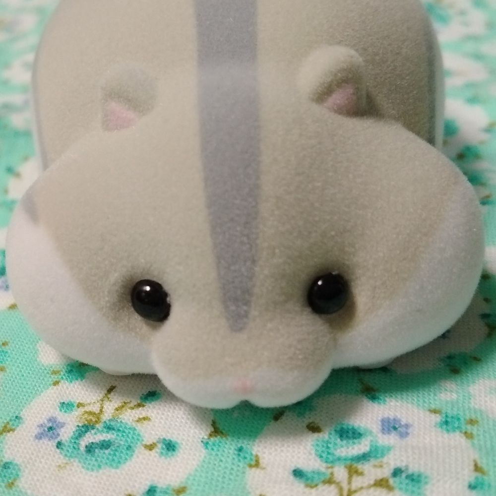 ショコ