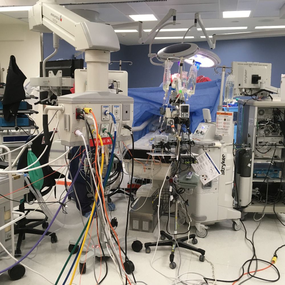 Hedi Schroeck MD