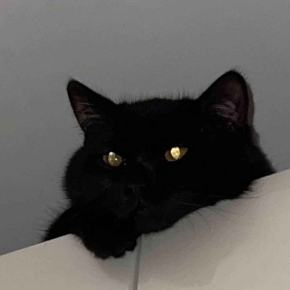 Miss Caramel