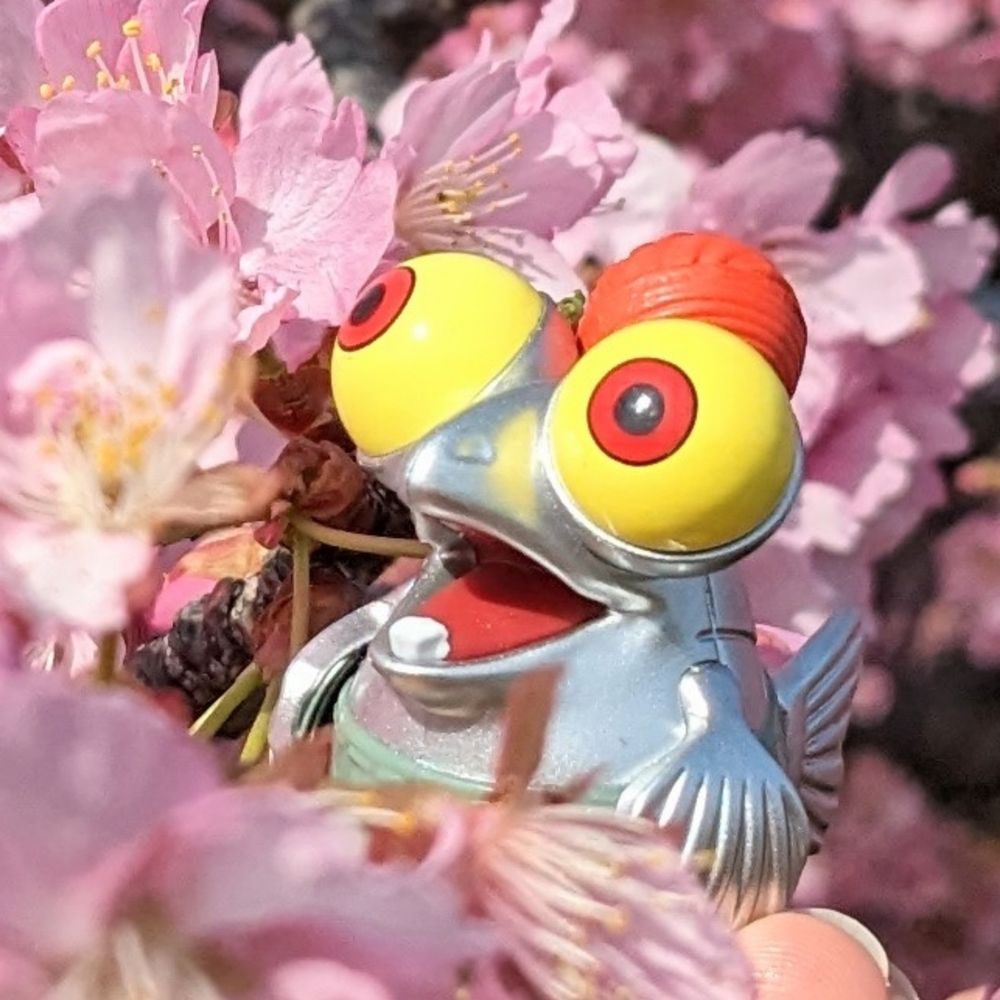 ゐ