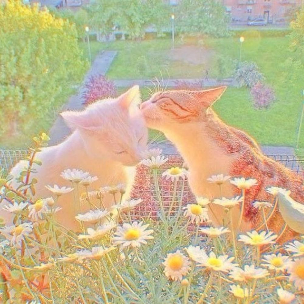 Kittie