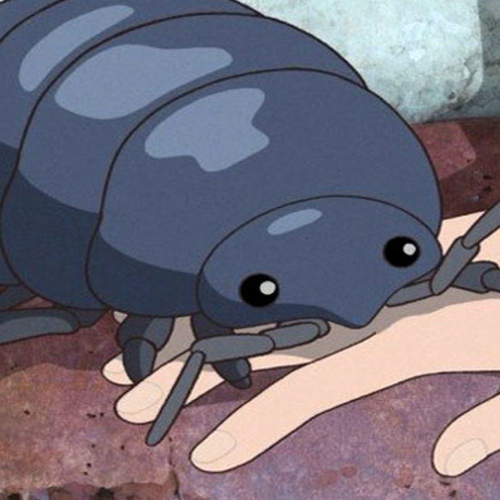pillbug