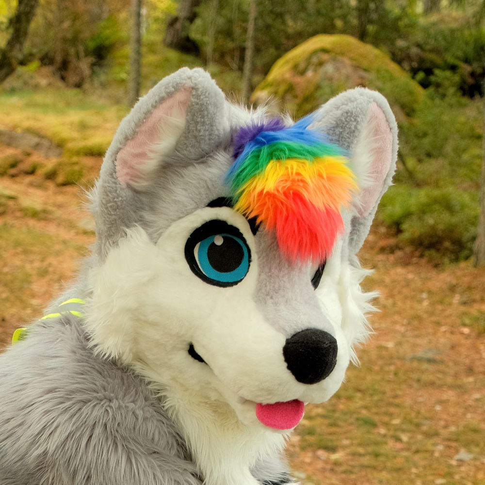 Gumppe Husky