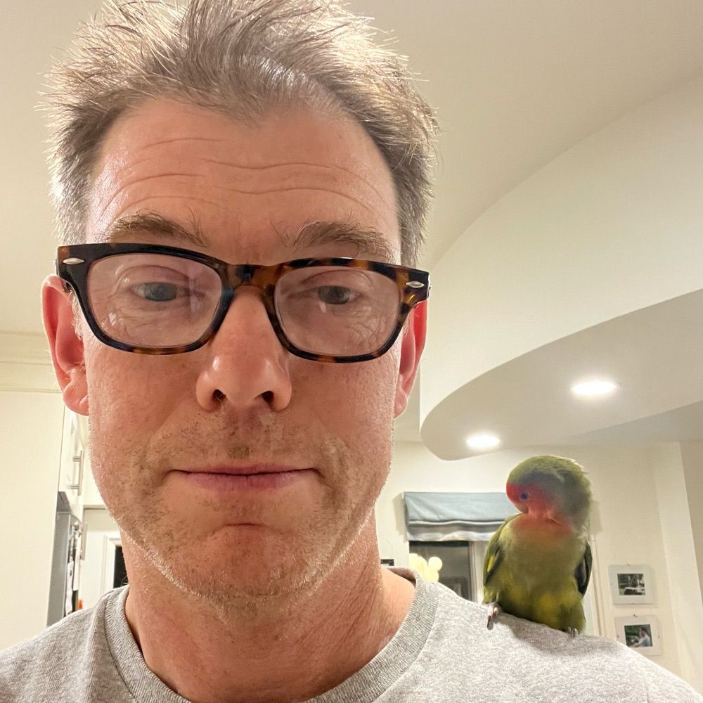 Alastair Bird