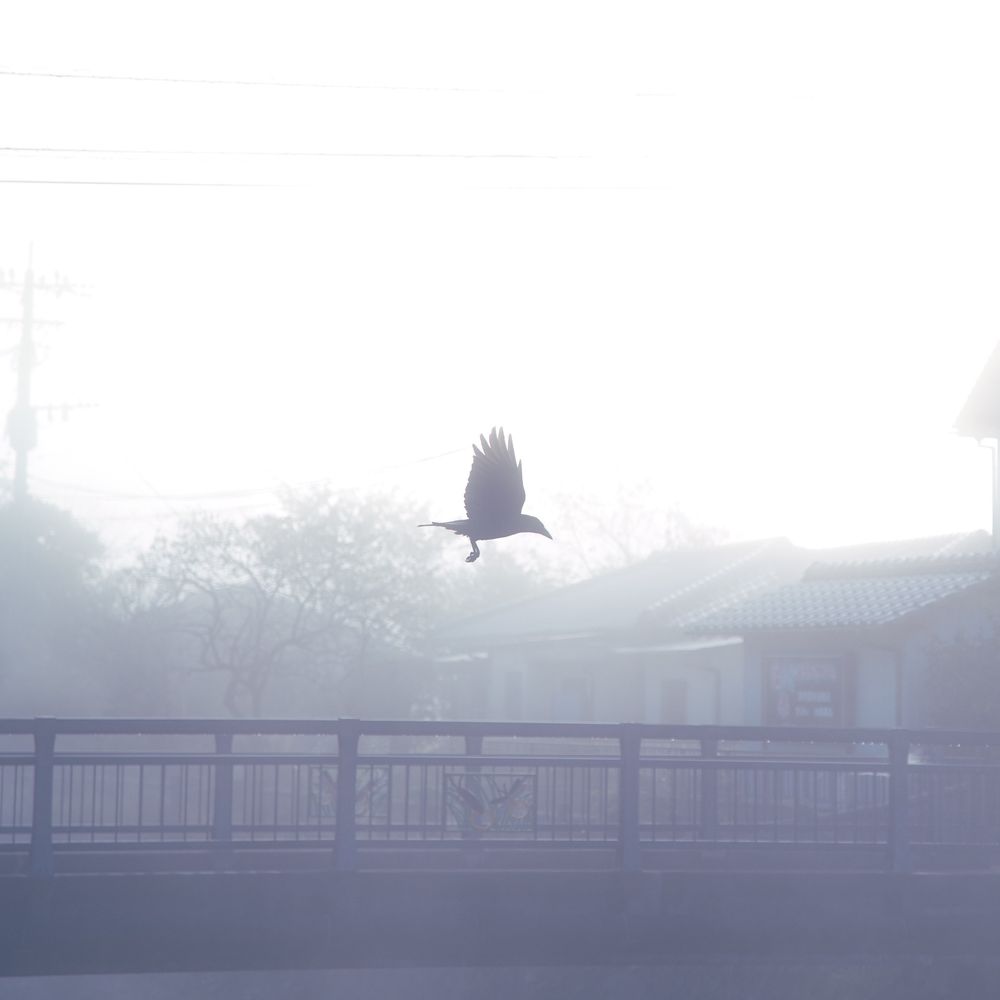 密。