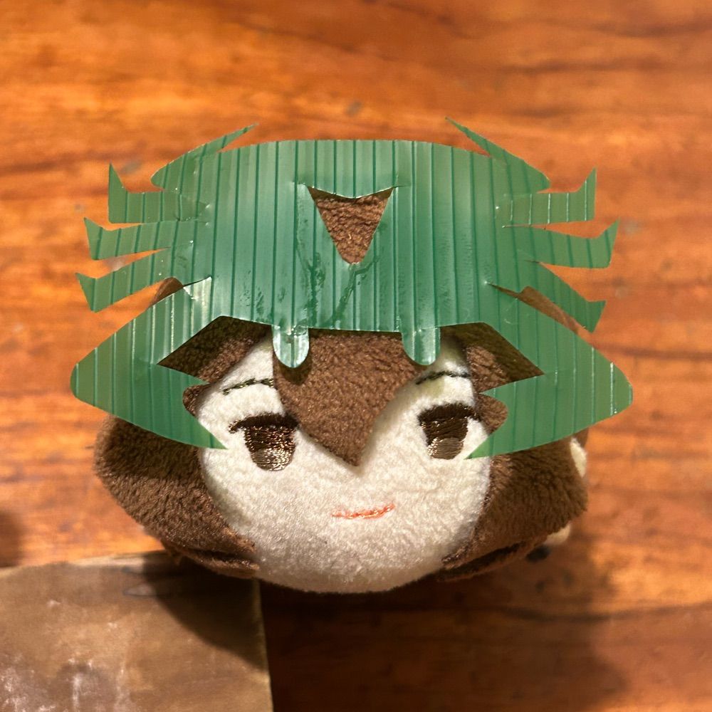 龜龜🐢