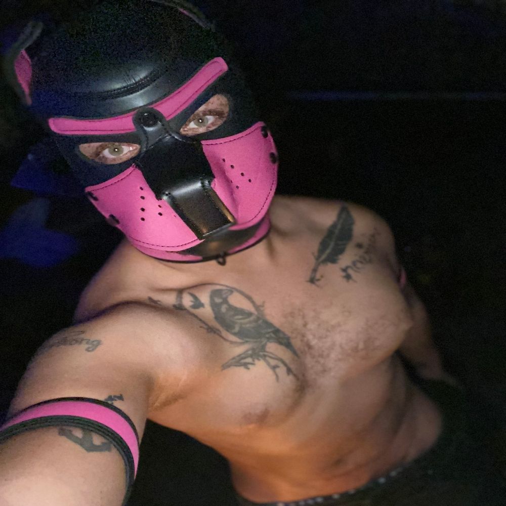 Pup Twilight 🐾🐾