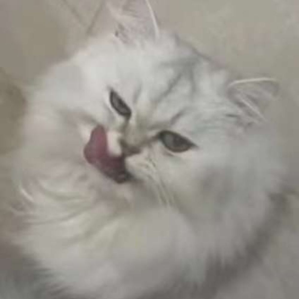 ヒトト小豆